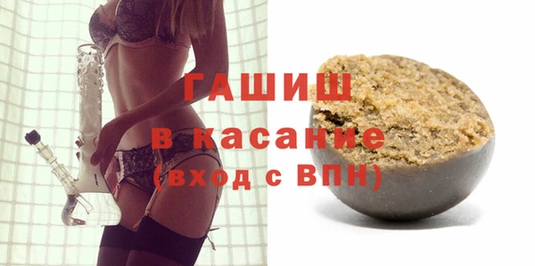 прущие грибы Белокуриха
