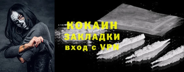 прущие грибы Белокуриха