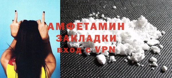 прущие грибы Белокуриха