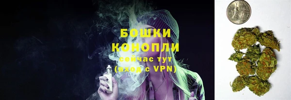 прущие грибы Белокуриха
