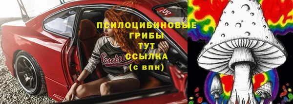 прущие грибы Белокуриха