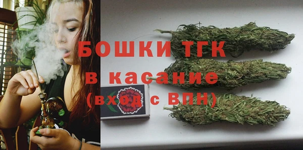 прущие грибы Белокуриха