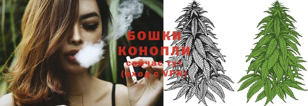 амф Белоозёрский