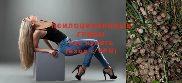 прущие грибы Белокуриха