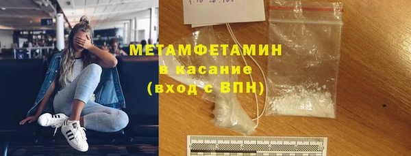 прущие грибы Белокуриха