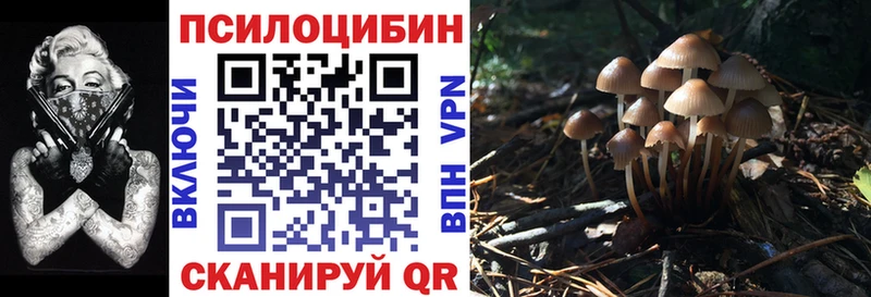 где купить   ссылка на мегу вход  Галлюциногенные грибы прущие грибы  Железноводск 